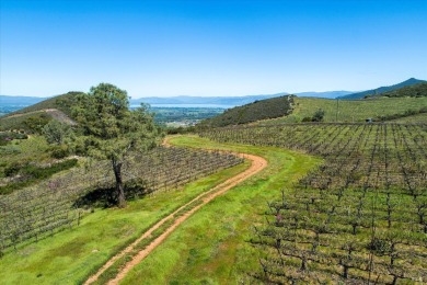 Clear Lake Acreage For Sale in Kelseyville California