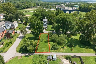 Your Canvas Awaits in Cincinnati's Historic Garden District! - photo 2
