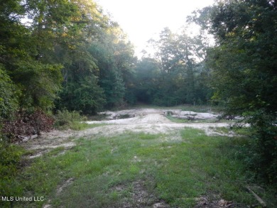 Lake Acreage For Sale in Harrisville, Mississippi