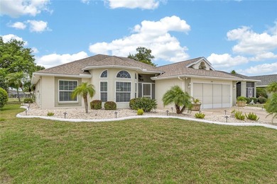 (private lake, pond, coastal) Home For Sale in Sun City Center Florida