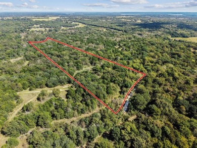Lake Acreage For Sale in Sadler, Texas