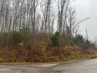 Lot in Overlook Bay with Equestrian Center - Lake Lot For Sale in Speedwell, Tennessee
