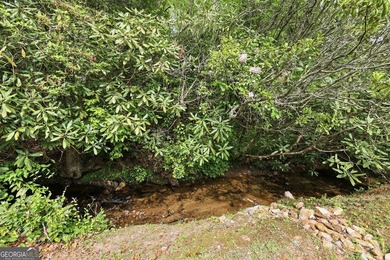 Nestled along a peaceful creek in the gated Sugar Mill Creek at - photo 25