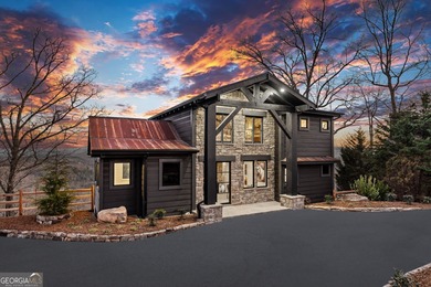 (private lake, pond, coastal) Home For Sale in Morganton Georgia