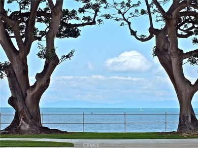 Charming upstairs 1 bed 1 bath condo for sale in the heart of - photo 38