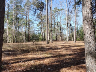 Lake Lot Under Contract in Woodville, Texas