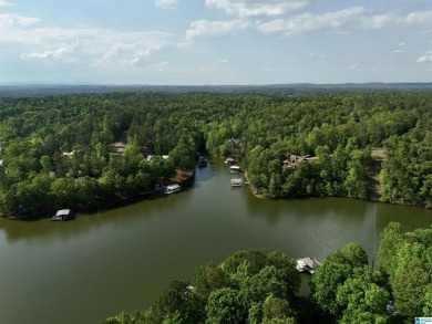 Lake Acreage For Sale in Wedowee, Alabama