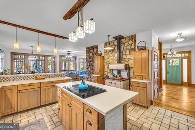 WATERFRONT ESTATE on 50+ PRIVATE ACRES located between Ellijay - photo 25