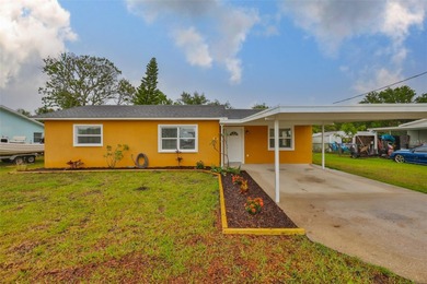 South Branch Manatee River  Home For Sale in Ruskin Florida