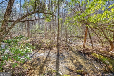 WATERFRONT ESTATE on 50+ PRIVATE ACRES located between Ellijay - photo 50