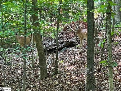 Nestled in the tranquil foothills of the Blue Ridge Mountains - photo 3