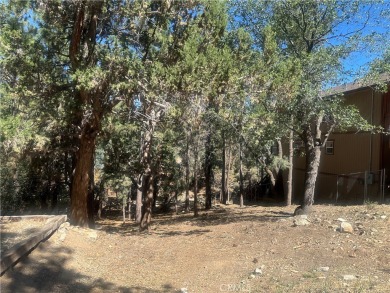 Big Bear Lake Lot For Sale in Sugarloaf California