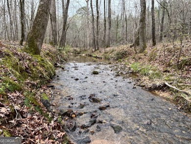 (private lake, pond, creek) Acreage For Sale in Locust Grove Georgia