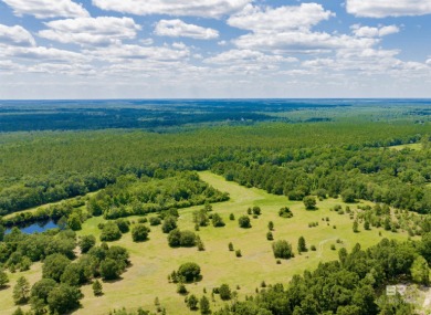 Lake Acreage For Sale in Seminole, Alabama