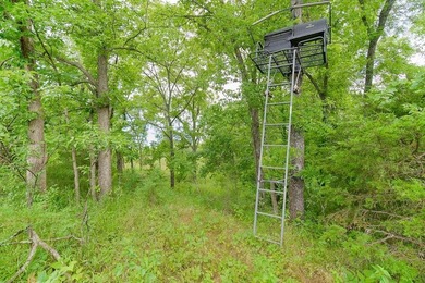 Privacy Abounds! Spectacular rolling hills with a scenic mix of - photo 25