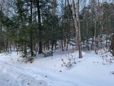 Canaan Street Lake Acreage For Sale in Canaan New Hampshire