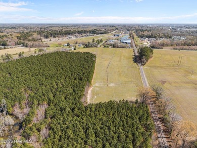 Approximately 104 acres of partially cleared land in a rapidly - photo 21
