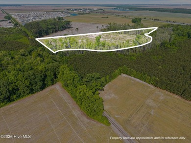 Approximately 104 acres of partially cleared land in a rapidly - photo 25