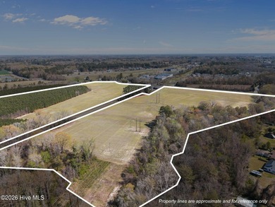 Approximately 104 acres of partially cleared land in a rapidly - photo 29