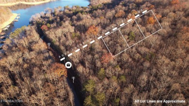 (private lake, pond, creek) Lot For Sale in Jacksboro Tennessee
