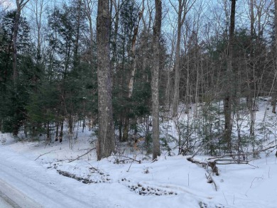 Lake Acreage For Sale in Canaan, New Hampshire