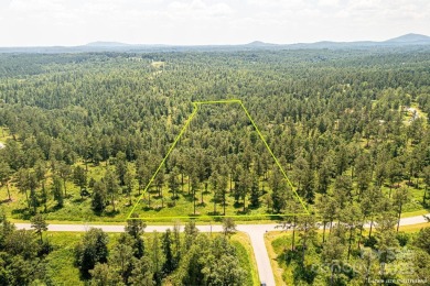 Lake Acreage For Sale in Connelly Springs, North Carolina