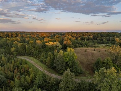 (private lake, pond, creek) Acreage For Sale in Karnack Texas