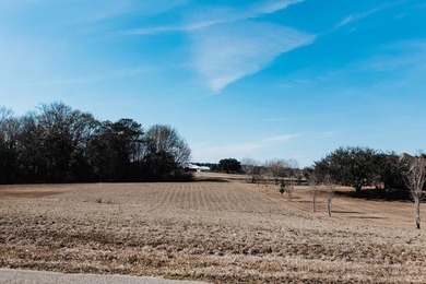 Lake Hide-A-Way Lot For Sale in Carriere Mississippi