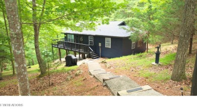 Lake Home For Sale in Andersonville, Tennessee