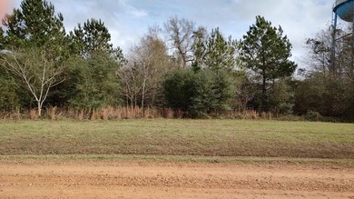 Lake Hillsdale Lot For Sale in Lumberton Mississippi