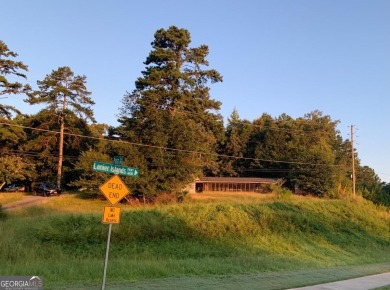 Lake Home For Sale in Buford, Georgia