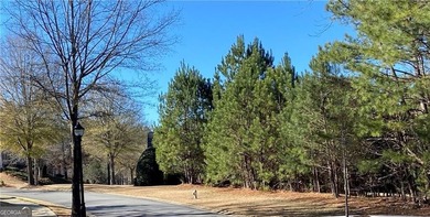 FABULOUS PRICE FOR A BEAUTIFUL LOT IN THE ONLY 24-7 MANNED GATED - photo 5