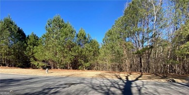 FABULOUS PRICE FOR A BEAUTIFUL LOT IN THE ONLY 24-7 MANNED GATED - photo 6
