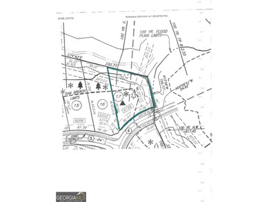 FABULOUS PRICE FOR A BEAUTIFUL LOT IN THE ONLY 24-7 MANNED GATED - photo 8