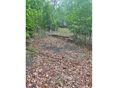 Carters Lake Acreage For Sale in Ranger Georgia