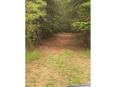 This private tract/lot located just outside the city limits - photo 6