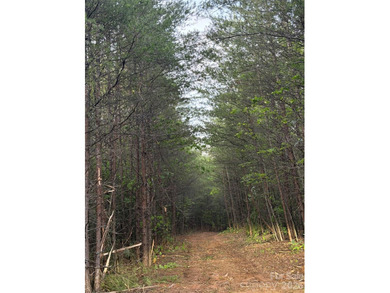 This private tract/lot located just outside the city limits - photo 7
