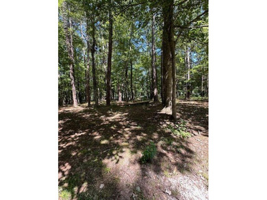 Nestle your new home in this easily affordable cul-de-sac lot - photo 3