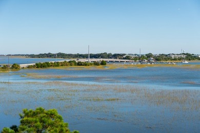 Amazing unobstructed views of both Folly Beach and Folly River - photo 30
