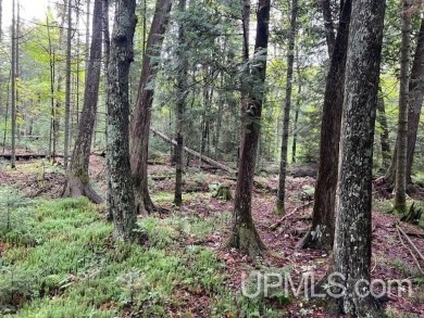 Lake Acreage Sale Pending in Amasa, Michigan