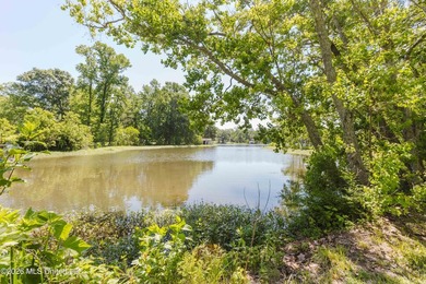 PRICE IMPROVEMENT and SELLER NOW OFFERING $10,000 towards buyer - photo 46