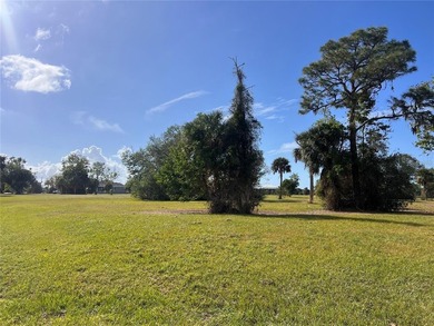 Burnt Store Lakes  Lot For Sale in Punta Gorda Florida