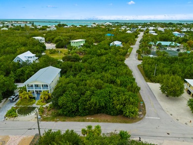 This property includes a transferable development right (TBR) - photo 13