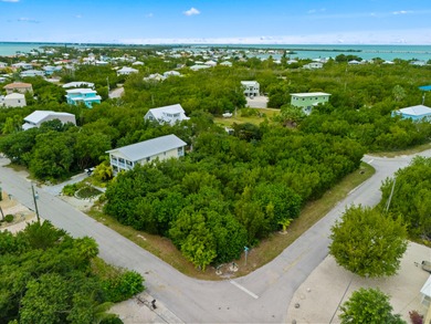 This property includes a transferable development right (TBR) - photo 14