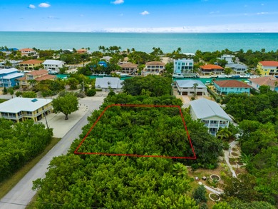 This property includes a transferable development right (TBR) - photo 16
