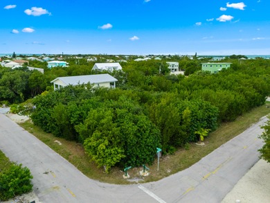 This property includes a transferable development right (TBR) - photo 20