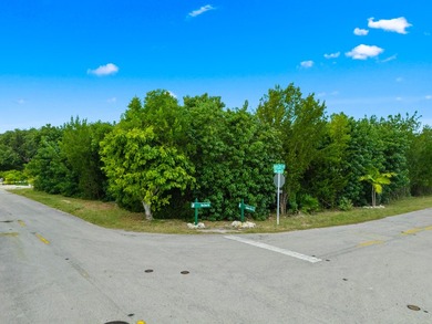 This property includes a transferable development right (TBR) - photo 21
