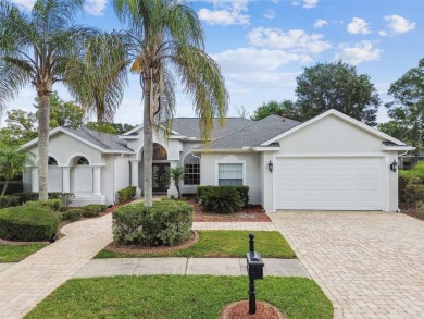Lake Home For Sale in Land O Lakes, Florida