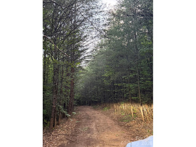 This private tract/lot located just outside the city limits - photo 8