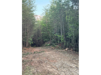 This private tract/lot located just outside the city limits - photo 9